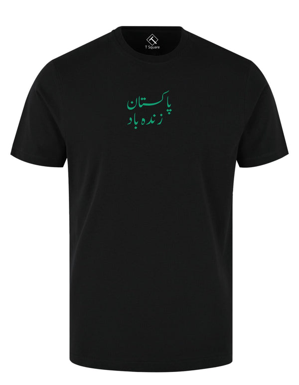 PAKISTAN Aesthetic Premium T-SHIRT